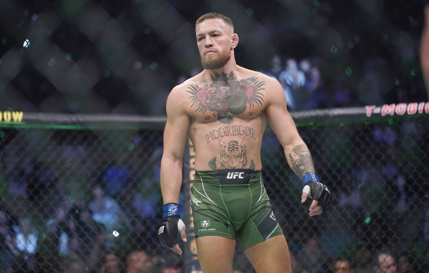 Conor McGregor en tenue de combat MMA dans la cage de l'UFC